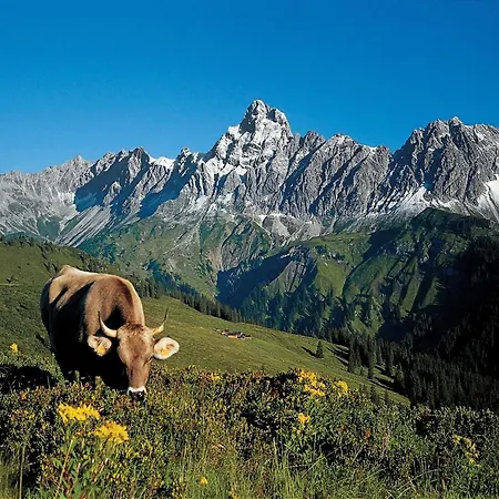 In Near Bus Apartment *