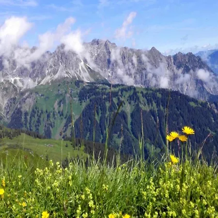 In Near Bus * Sankt Gallenkirch